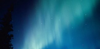 El cáncer: causas y tratamientos