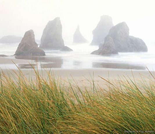 La formación del carácter