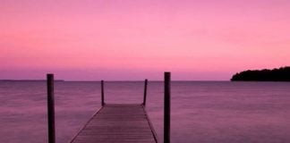 La atención y el mindfulness