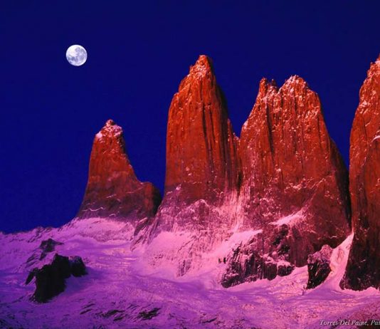 Conciencia, mente y cerebro