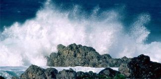 Los ruidos: efectos psicológicos y energéticos