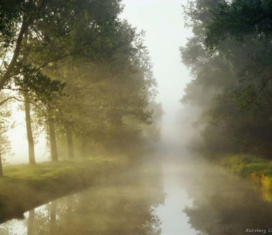 La mente y sus espejismos