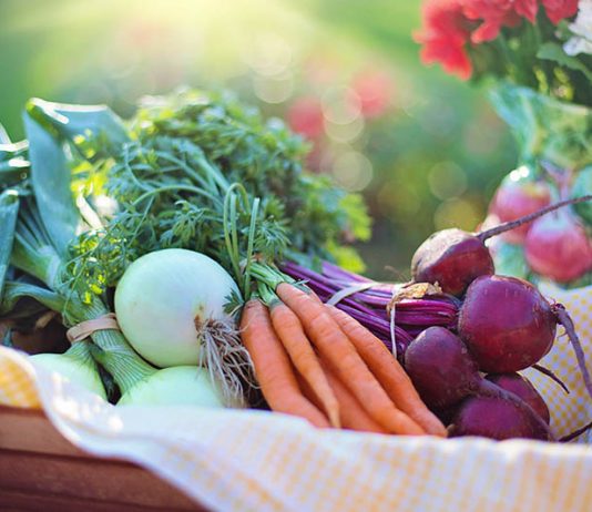 La alimentación vegetariana según el Maestro Djwhal Khul (y 6) Verduras